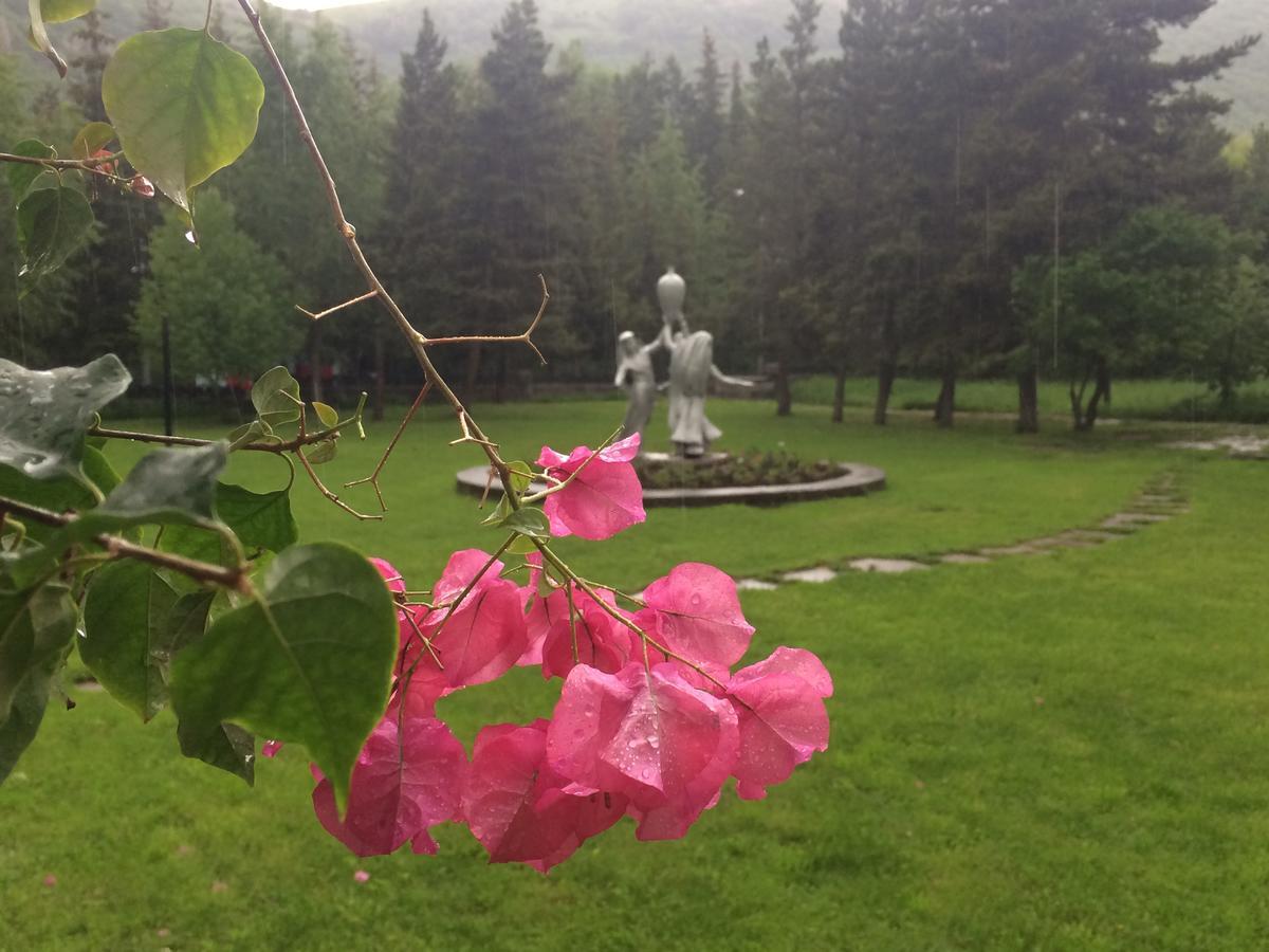 Hotel Jermuk Olympia Sanatorium Zewnętrze zdjęcie